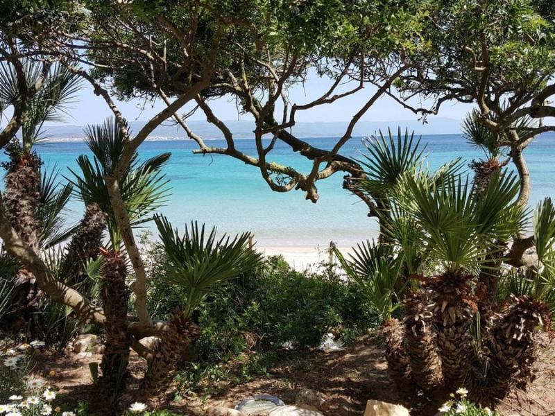 Camping Village Cavallino