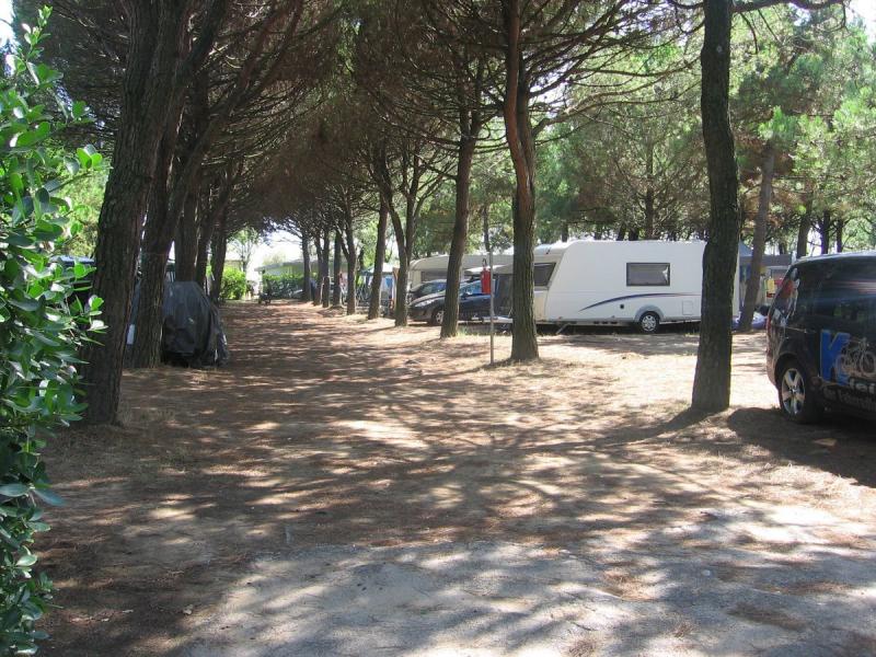 Camping Ca'Savio
