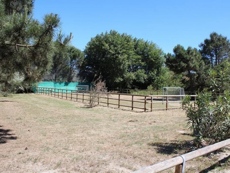 Camping Mare e Pineta