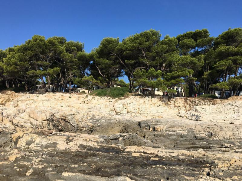 Arena Stoja Campsite