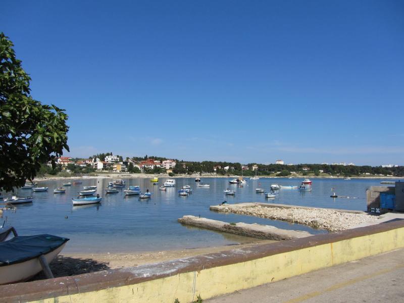 Arena Stoja Campsite