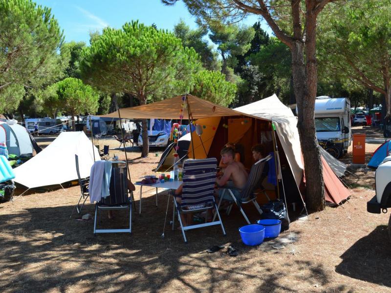 Arena Stoja Campsite