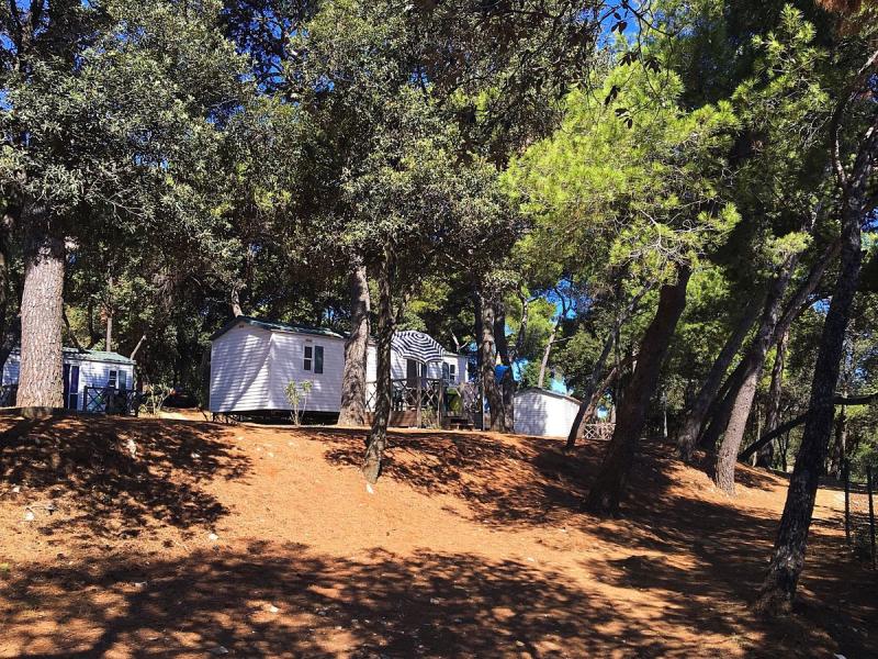 Arena Stoja Campsite