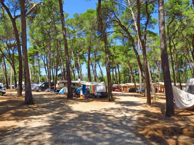 Camping Cikat