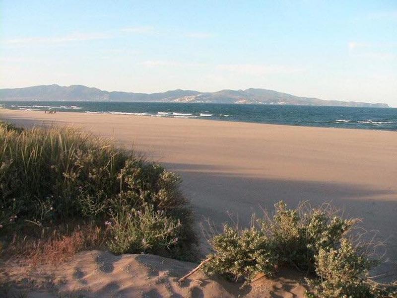 Las Palmeras - Costa Brava