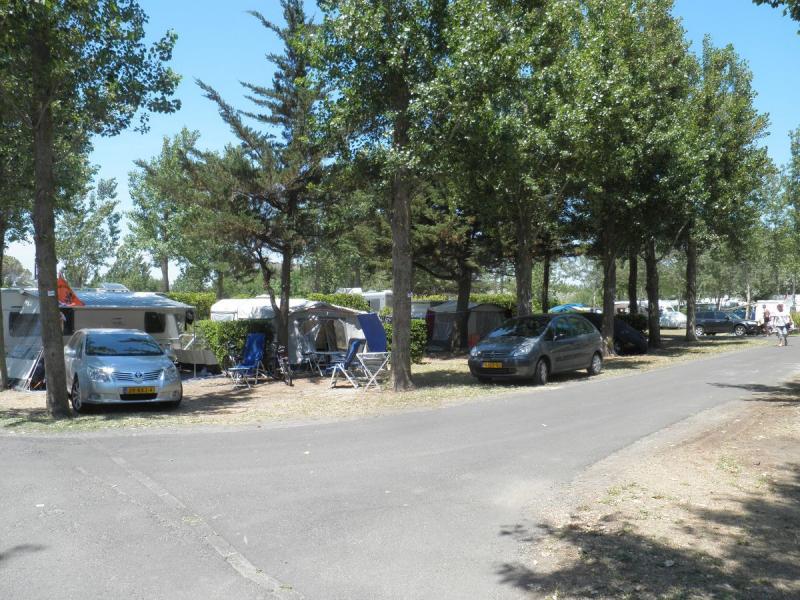 Les Méditerranées - Beach Garden