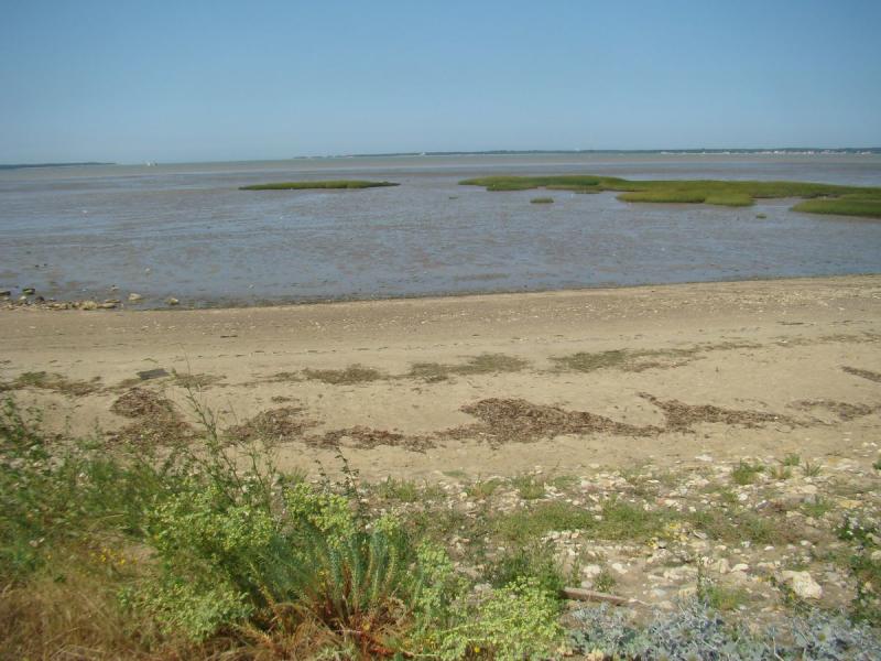 Camping Séquoia Parc