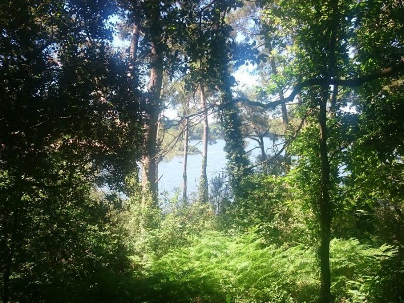 Camping Yelloh! Village Le Pin Parasol