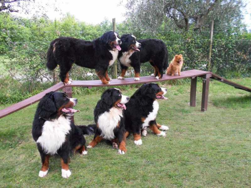 Camping Piani di Clodia