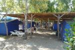 Camping Le Dune