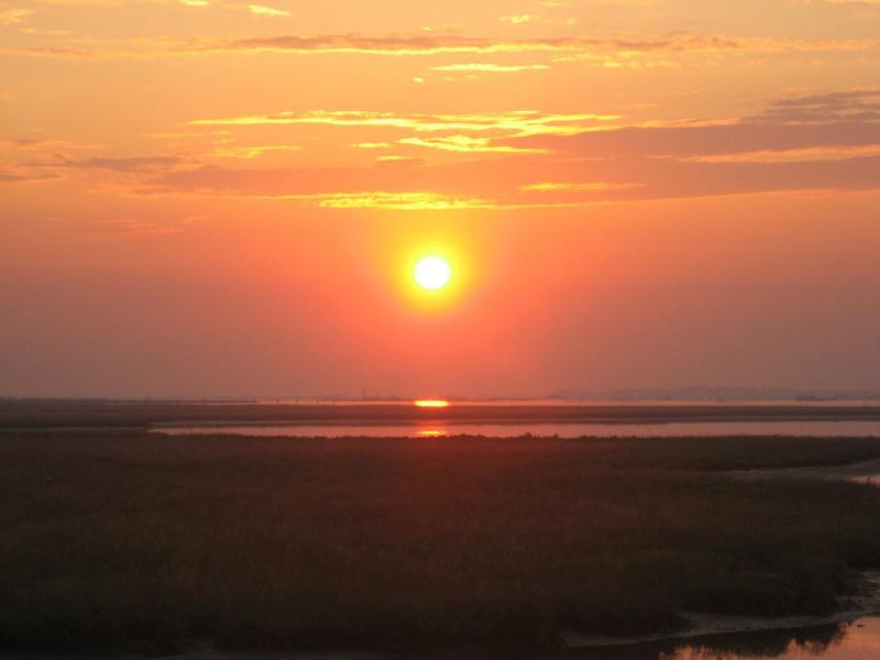 Rosapineta Camping Village