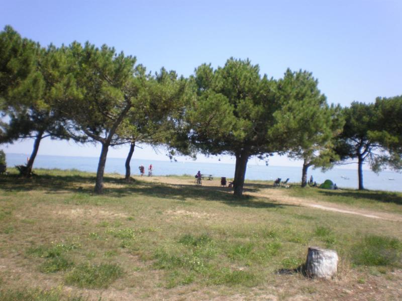 Camping Do Mi Si La Mi