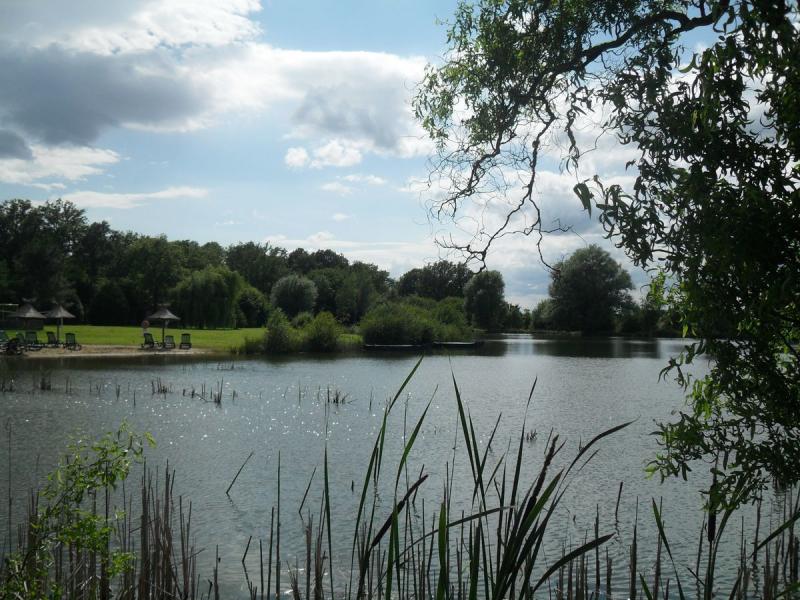 Camping Les Bois du Bardelet