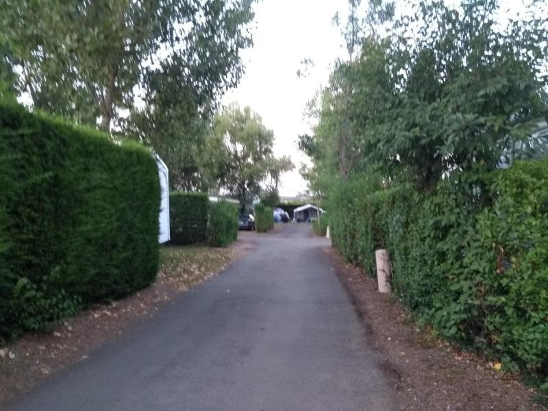 Flower Camping Le Bois Soleil