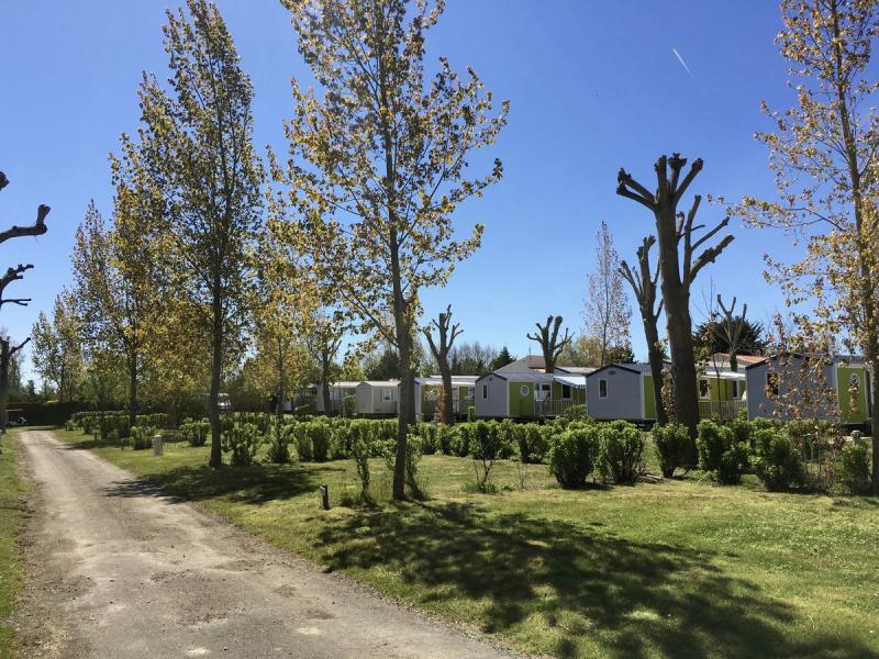 Flower Camping Le Bois Soleil