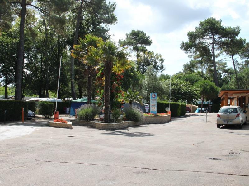 Camping L'Orée du Bois