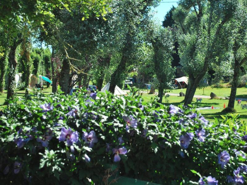 Camping Les Tournesols