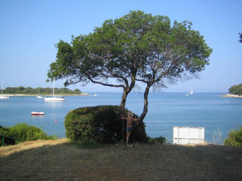 Camping La Sirène
