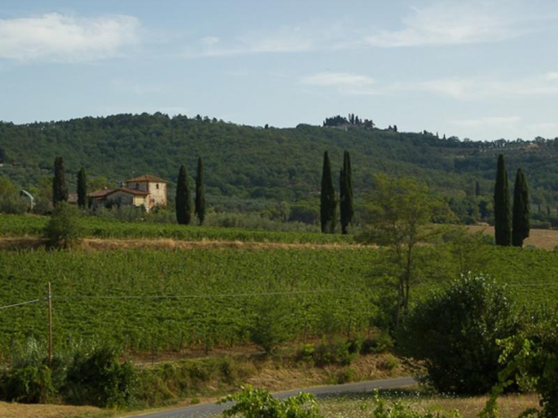 Camping Village Il Poggetto