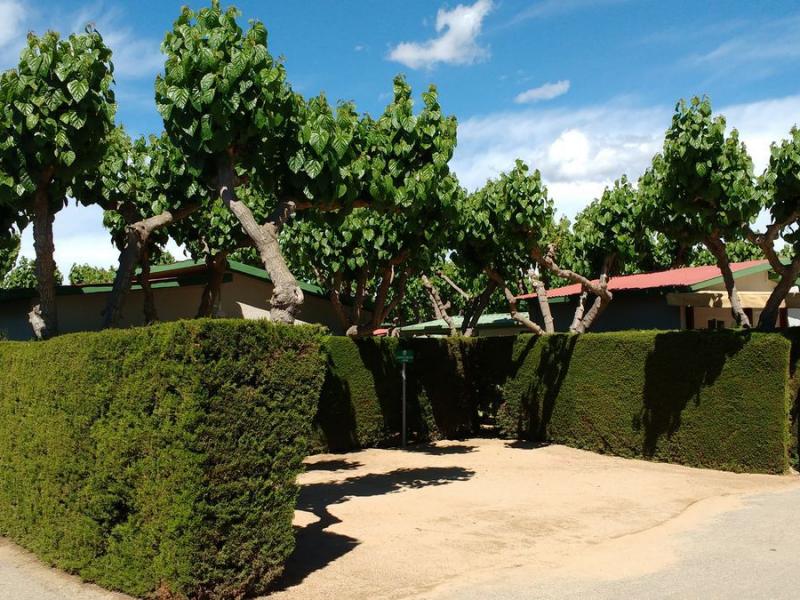 Camping Platja Cambrils