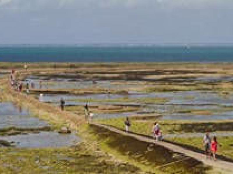 Campeggio Côte Sauvage