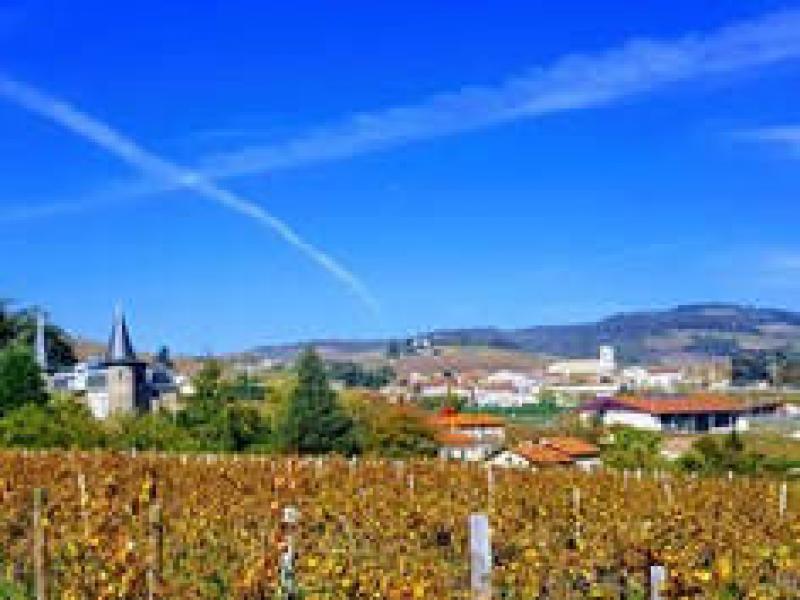 Camping La Grappe Fleurie