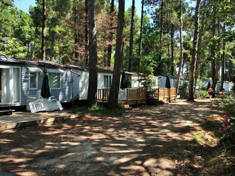 Campeggio Taxo les Pins